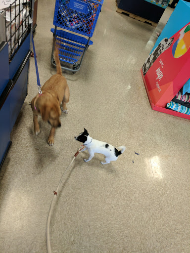 Pet Supply Store «PetSmart», reviews and photos, 139 Radio Dr, Stroudsburg, PA 18360, USA