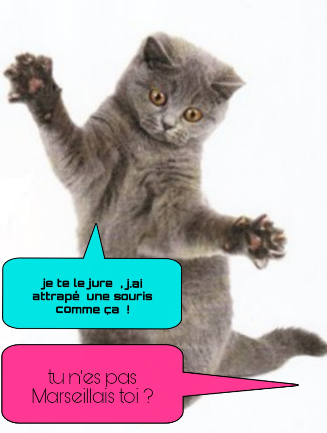 Photo n° 19 de l'avis de Pierre.o fait le 23/02/2019 à 14:34