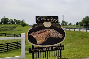 Prodigy Vineyards & Winery image