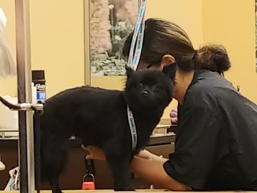 Pet Supply Store «PetSmart», reviews and photos, 321 Town Center Loop, Waynesville, NC 28786, USA