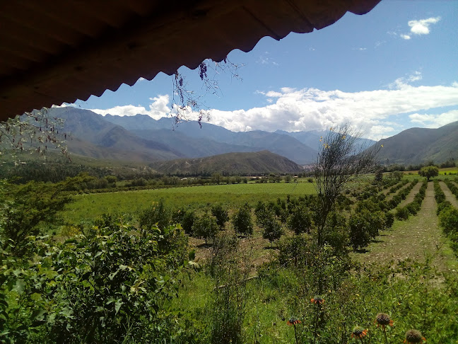 Bosque Del Prado - Cajabamba