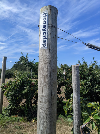 Farm «Russell Orchards», reviews and photos, 143 Argilla Rd, Ipswich, MA 01938, USA