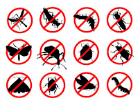 EZ Pest Solutions, LLC - Photo 6 - Car repair in , Kissimmee