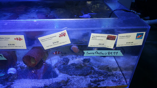 Tropical Fish Store «The Fish Store», reviews and photos, 2050 Chamblee Tucker Rd, Chamblee, GA 30341, USA