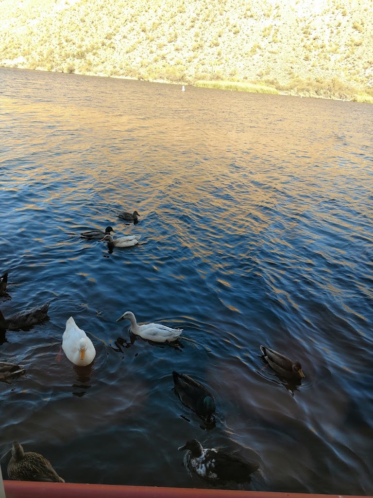 Healing Touch Bodyworks 81101