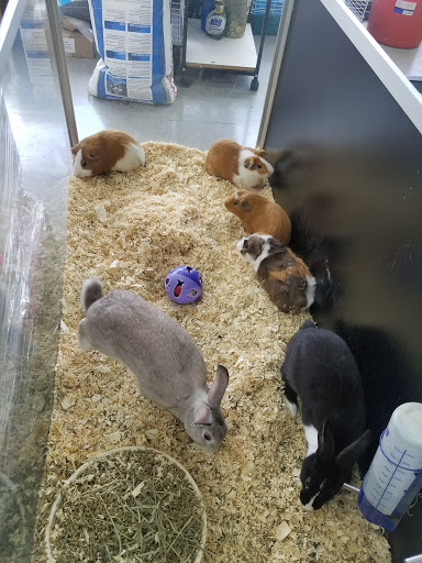 Pet Store «Pet City», reviews and photos, 14718 Whittier Blvd, Whittier, CA 90605, USA