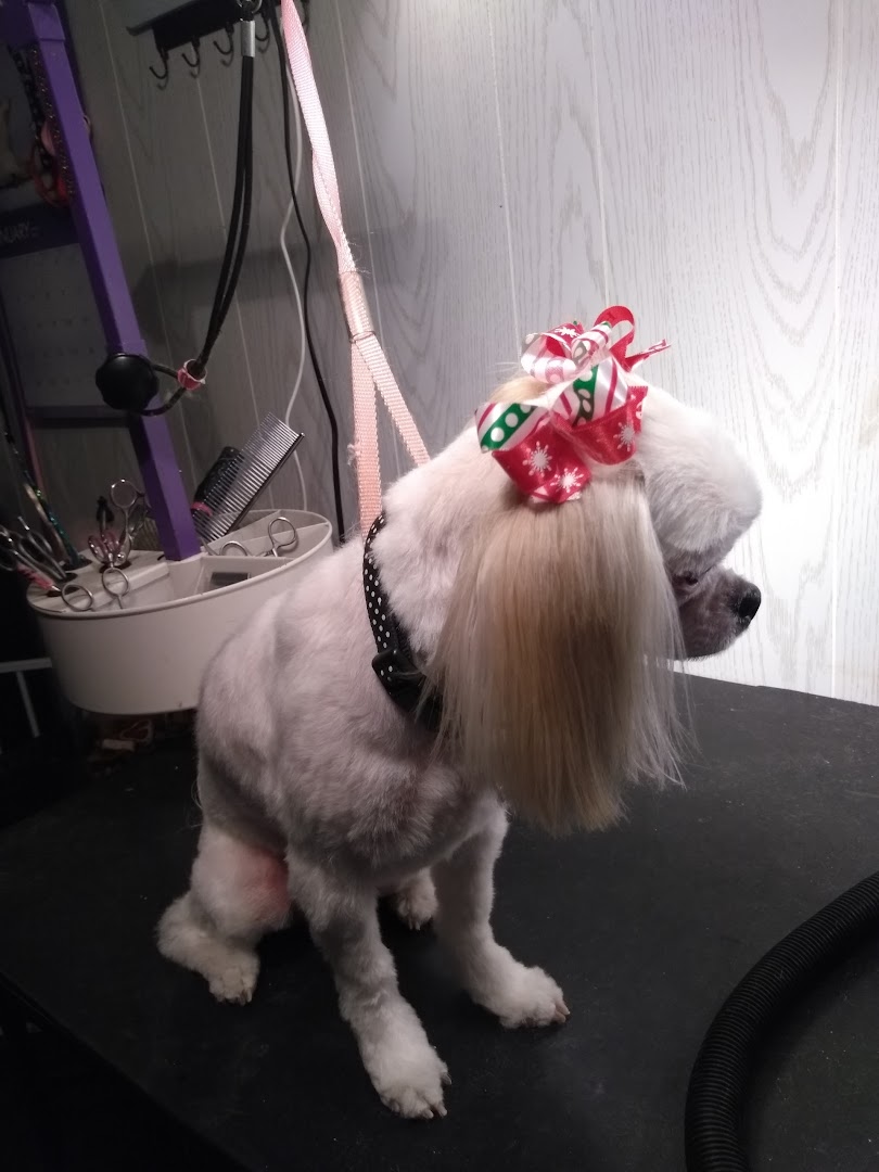 Michelle's Pet Grooming Salon