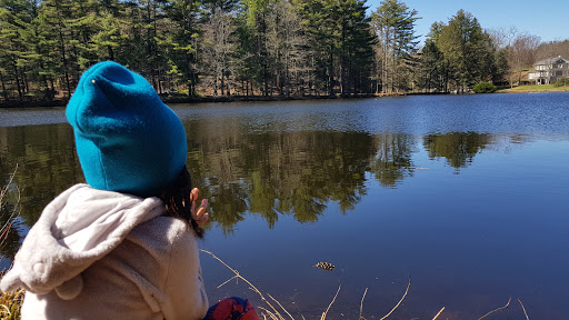 Museum «Dorflinger Glass Museum», reviews and photos, 37 Suydam Dr, White Mills, PA 18473, USA