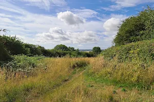 Rede Common Nature Reserve image