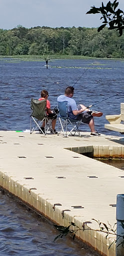 Nature Preserve «Maurice River Bluffs Preserve», reviews and photos, Silver Run Rd, Millville, NJ 08332, USA