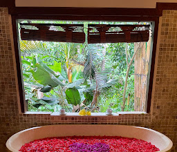 Bali Botanica Day Spa photo