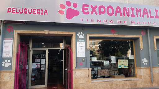 EXPOANIMALIA ERMITA - Villarreal