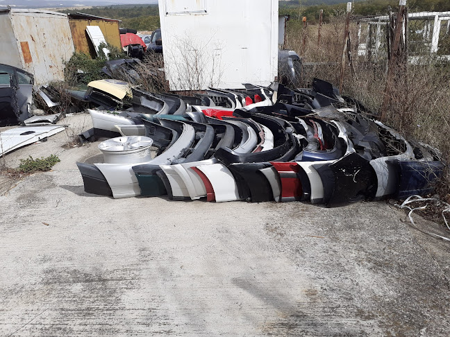 Opinii despre Склад за авточасти втора употреба în Враца - Търговец на автомобили