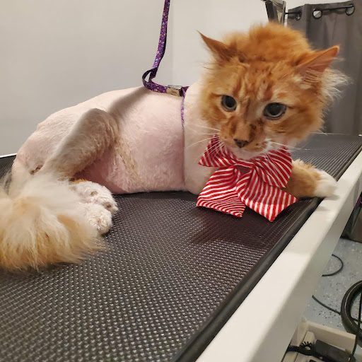 Siennas grooming services and products image