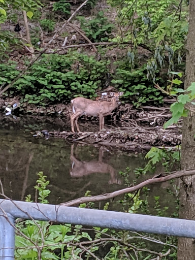 Golf Course «Carroll Park Golf Course», reviews and photos, 2100 Washington Blvd, Baltimore, MD 21230, USA