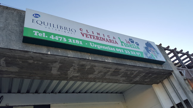 Veterinaria La Huella - Veterinario