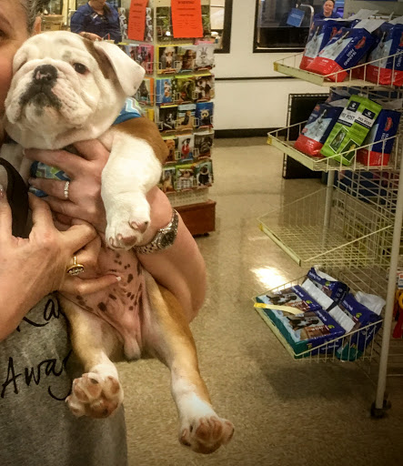 Pet Supply Store «PetSmart», reviews and photos, 200 S Village Center Dr, Southlake, TX 76092, USA