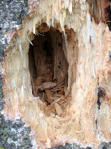 National Park «Effigy Mounds National Monument», reviews and photos, 151 IA-76, Harpers Ferry, IA 52146, USA