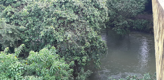 Opiniones de Recinto Cabuyal en Puerto Quito - Museo