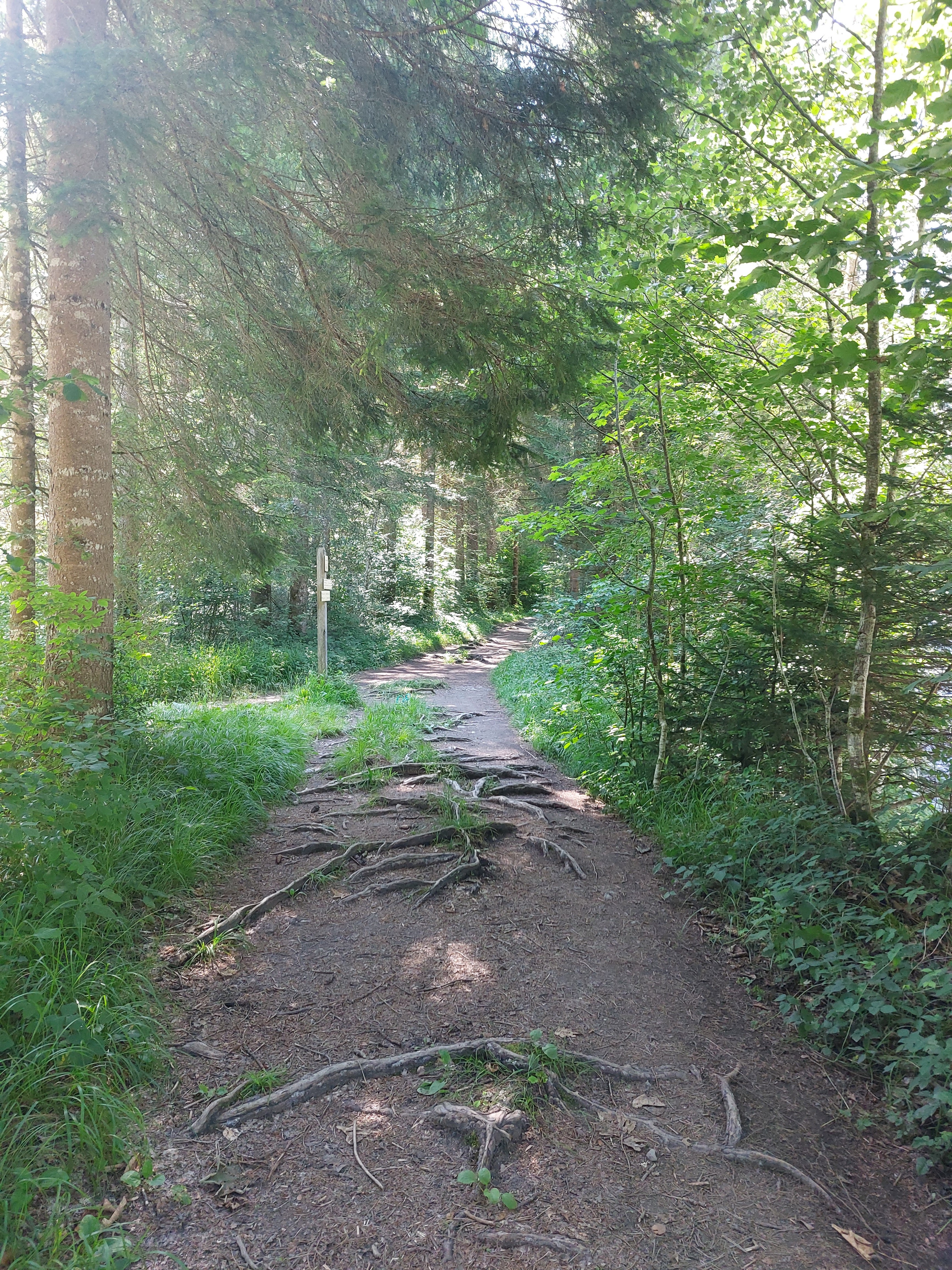 Photo n° 5 de l'avis de JC.e fait le 16/07/2023 à 09:47