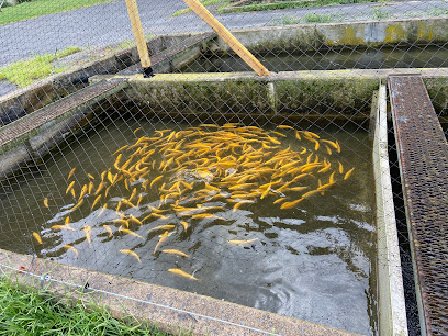 Bellefonte State Fish Hatchery