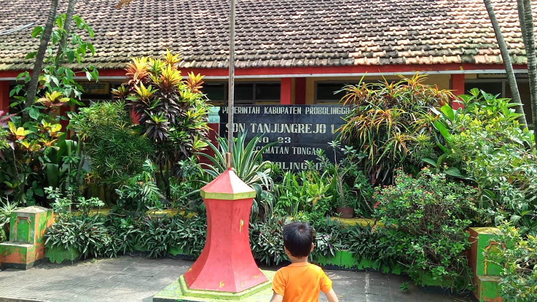 Balai Desa Tanjungrejo