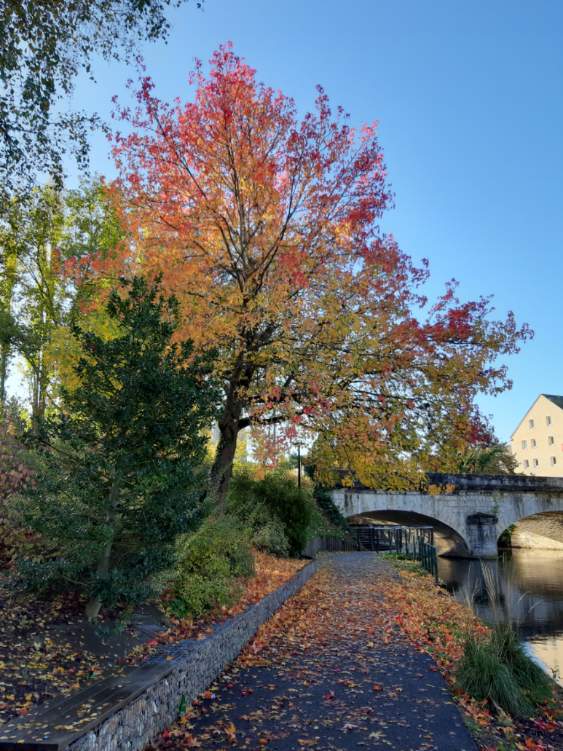 Photo n° 5 de l'avis de Frederic.a fait le 01/11/2021 à 16:25