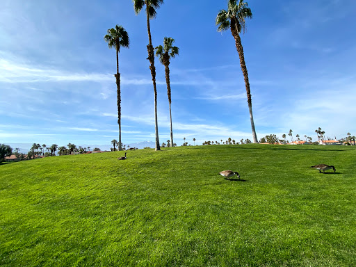 Golf Course «Desert Falls Country Club», reviews and photos, 1111 Desert Falls Pkwy, Palm Desert, CA 92211, USA