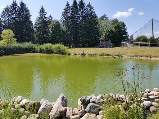 Wildlife Park «The Creature Conservancy», reviews and photos, 4950 Ann Arbor-Saline Rd, Ann Arbor, MI 48103, USA