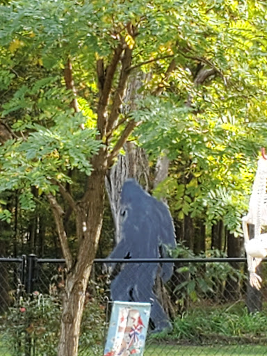 Department Store «Walmart Supercenter», reviews and photos, 145 Hill Carter Pkwy, Ashland, VA 23005, USA