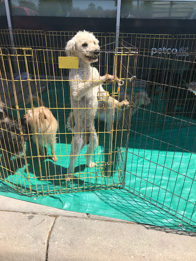 Pet Supply Store «Petco Animal Supplies», reviews and photos, 11398 Bandera Rd #403, San Antonio, TX 78250, USA