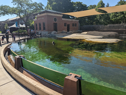 Zoo «Kovler Sea Lion Pool», reviews and photos, 2001 N Clark St, Chicago, IL 60614, USA