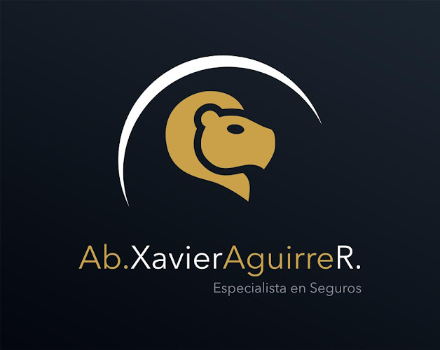 Ab. Xavier Aguirre R. - Abogado