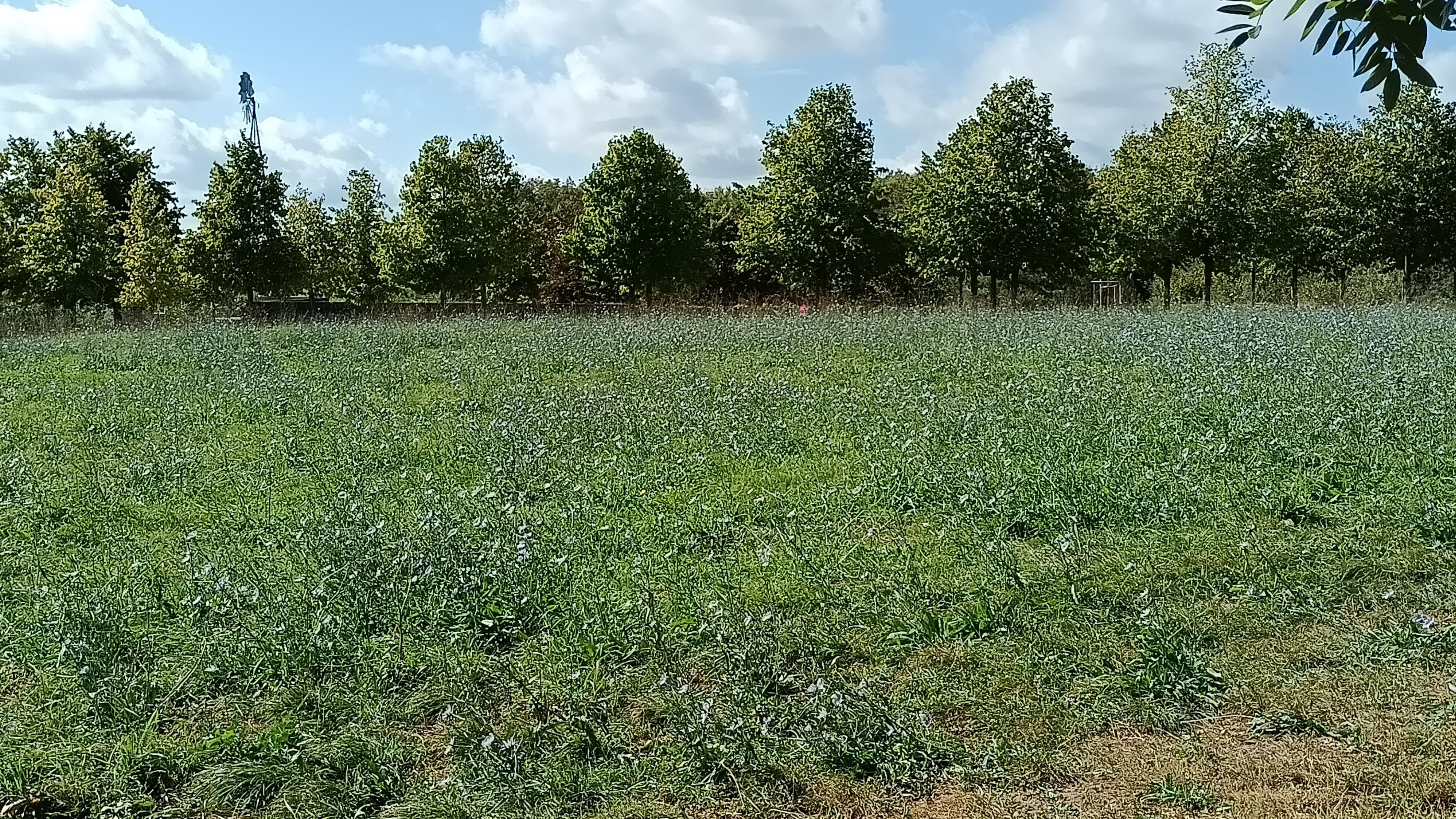 Photo n° 3 de l'avis de D. fait le 18/09/2023 à 12:32