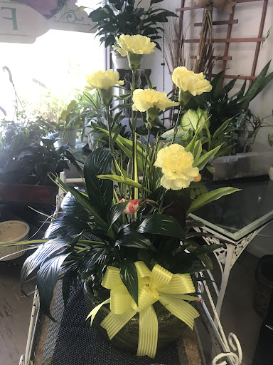 Florist «Veronica Shoemaker Florist Shop», reviews and photos, 3510 Dr Martin Luther King Jr Blvd, Fort Myers, FL 33916, USA