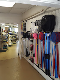 Aquatic Gardens of Ohio - Photo 3 - Car repair in North Canton, OH, Canton