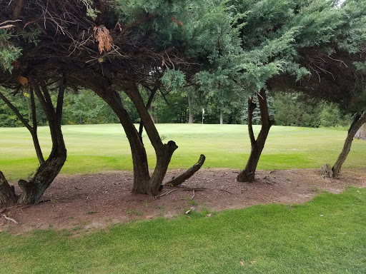 Public Golf Course «Ridge Top Golf Course», reviews and photos, 7441 Tower Rd, Medina, OH 44256, USA