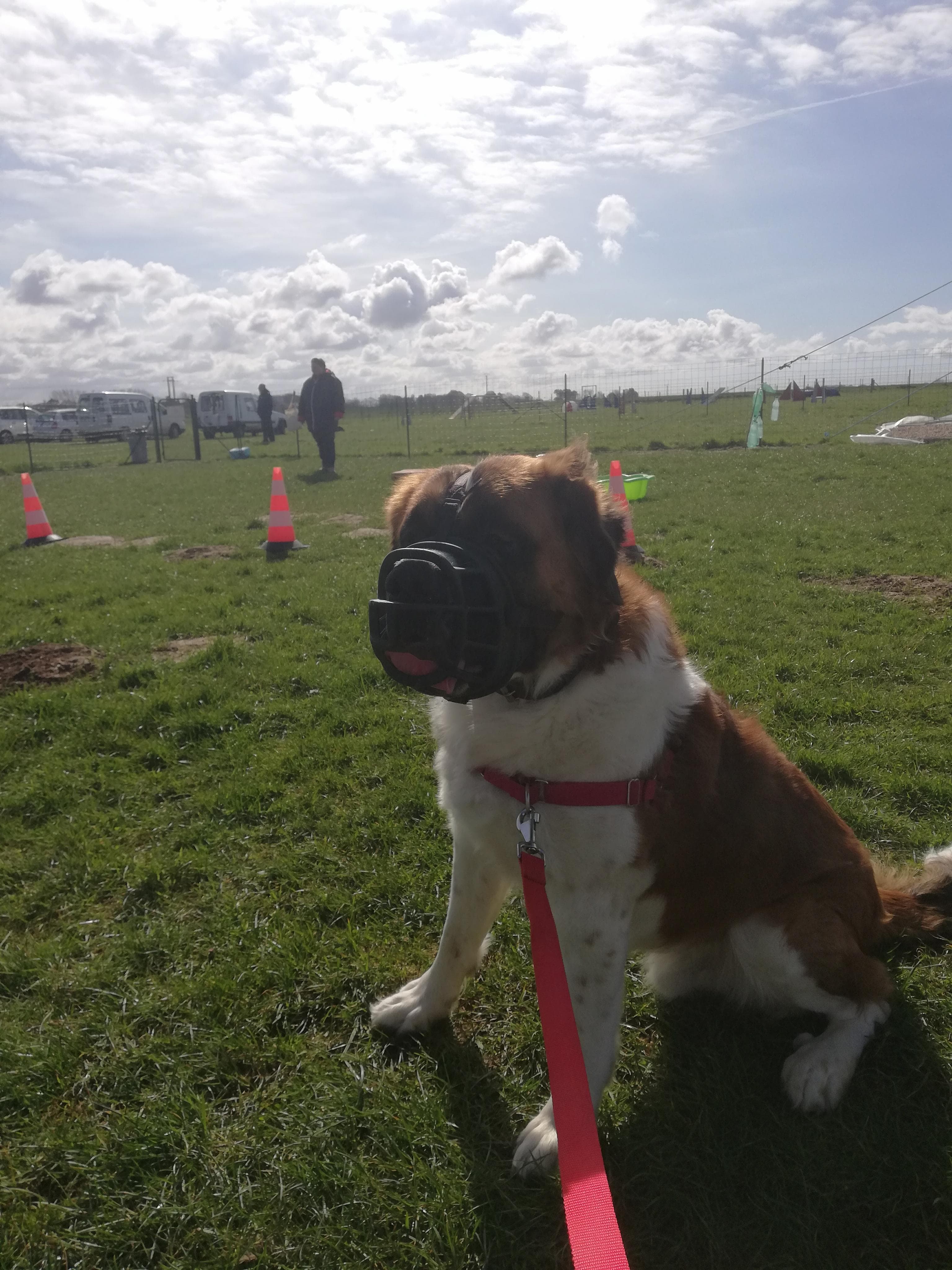 Photo n° 4 de l'avis de Muriel.a fait le 26/08/2018 à 08:31