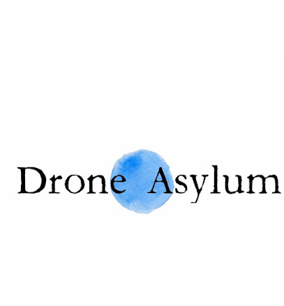 Drone Asylum Robotics