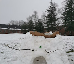 Jacobs University Green Field photo