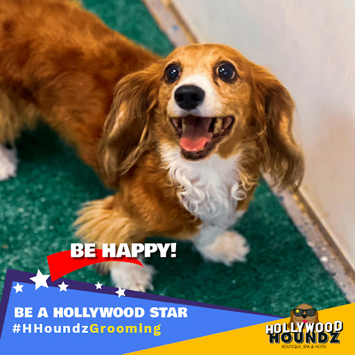 Pet Groomer «Hollywood Houndz Boutique, Spa & Hotel», reviews and photos, 4243 W Lake Mary Blvd, Lake Mary, FL 32746, USA