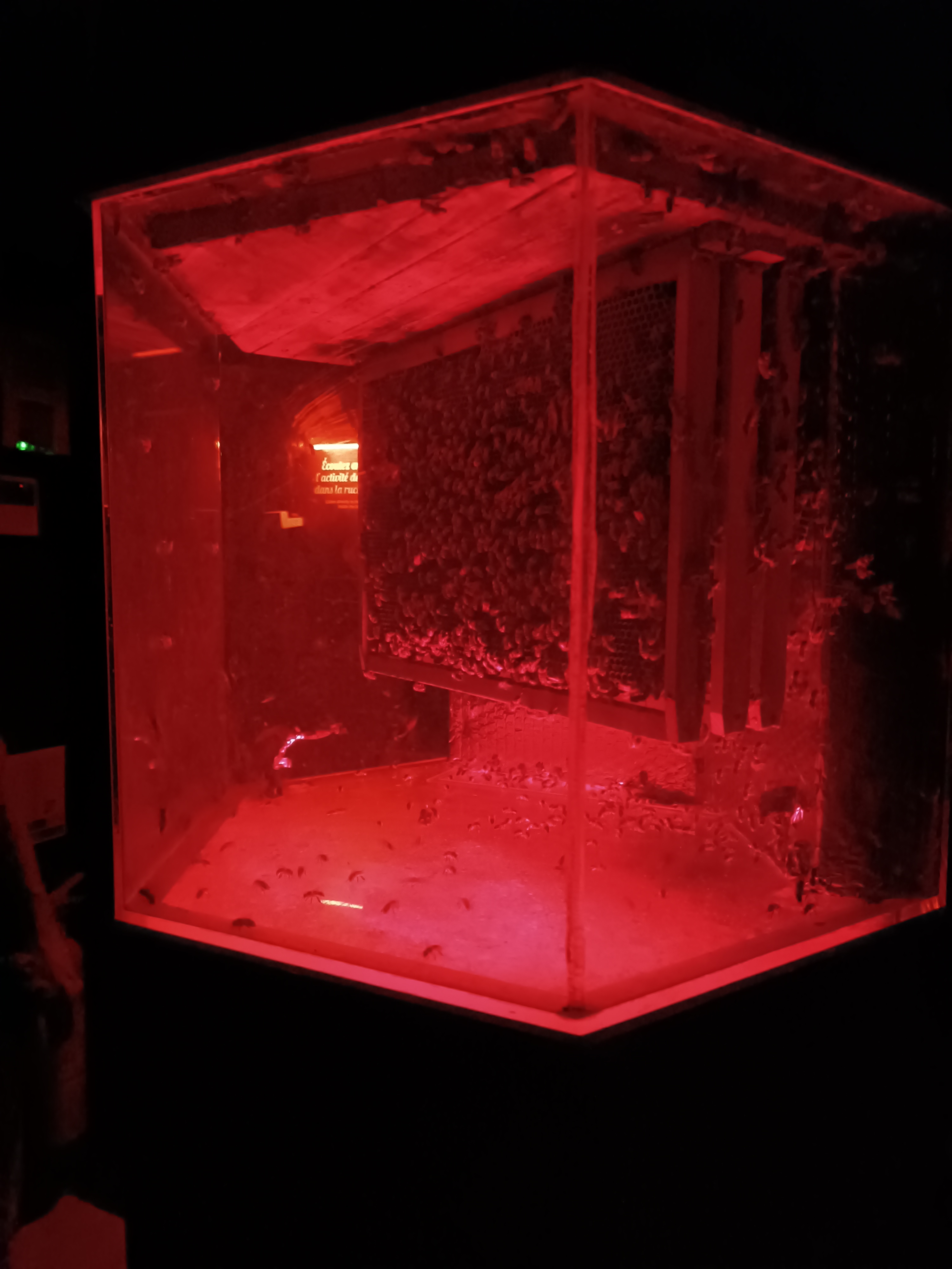 Photo n° 1 de l'avis de Caroline. fait le 11/08/2023 à 10:55