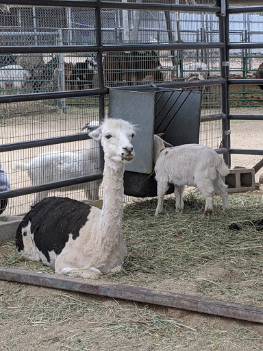 Zoo «Sierra Safari Zoo», reviews and photos, 10200 N Virginia St, Reno, NV 89506, USA