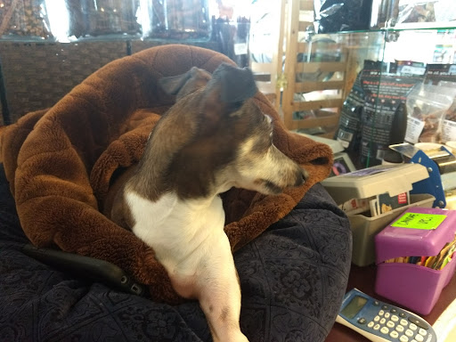 Pet Supply Store «Sellwood Pet Supply», reviews and photos, 8334 SE 17th Ave, Portland, OR 97202, USA