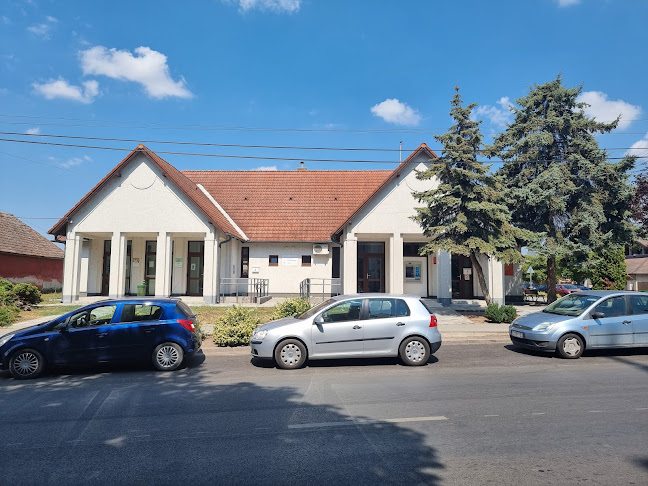 Opinii despre Sásdi Endre Dr. în Dabas - Orvos