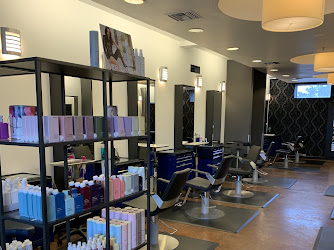 Xander Blue Salon