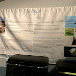 Photo n° 30 de l'avis de Jack.o fait le 23/05/2021 à 10:34 pour Maison des Pêcheurs du Lac de Grand Lieu à La Chevrolière