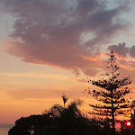 Photo n°3 de l'avis de Gianluigi.u fait le 18/09/2022 à 15:00 sur le  Ferretti Hotel à Diamante