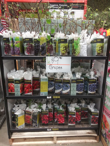 Home Improvement Store «The Home Depot», reviews and photos, 4700 Cherry Hill Rd, College Park, MD 20740, USA