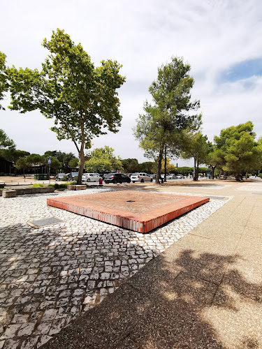 Avaliações doUniversidade do Algarve - Campus da Penha em Faro - Escola